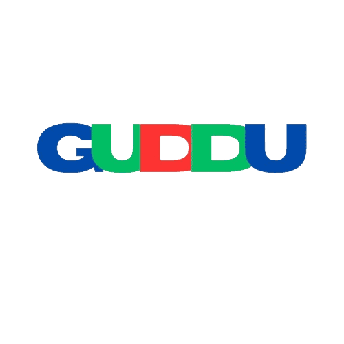 Guddu Trading Company